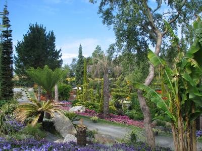 Botanischer Garten nordwestlich von Stavanger..